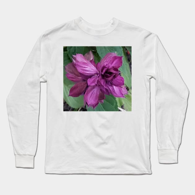 Close up of a purple flower Long Sleeve T-Shirt by Kim-Pratt